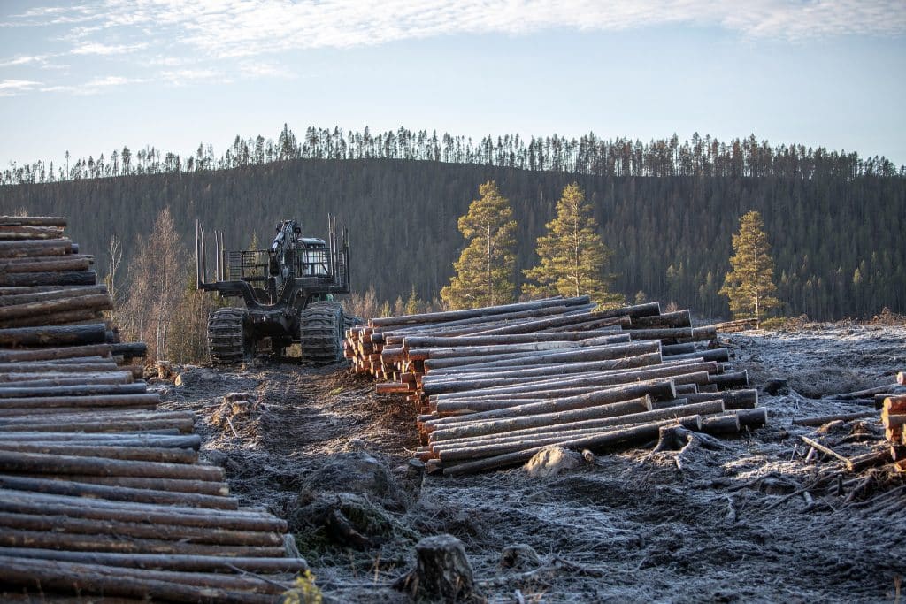 Det mesta som påverkar produktionen av värdefullt virke – framför allt sågtimrets kvalitet – sker tidigt under skogens omloppstid, skriver debattörerna i en replik.