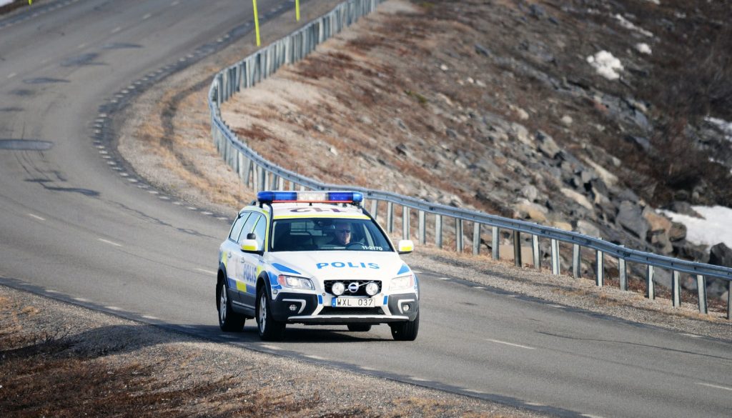 Björnjägare riskerar rättsliga påföljder