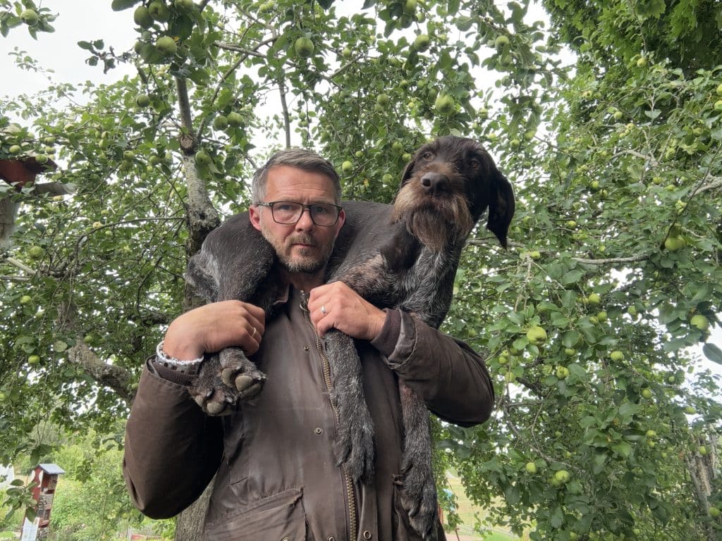 Första hjälpen för jakthundar – det här bör du ha med dig i skogen