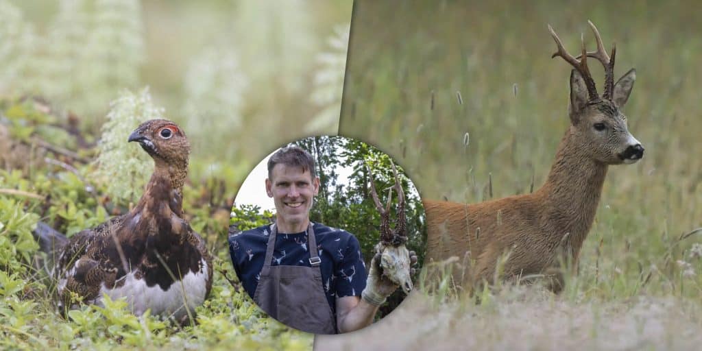 Bockjakt, bra riptillgång och skjuten varg – här är veckans nyheter