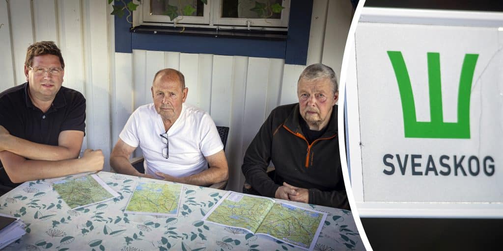 Sveaskog anlitade säkerhetsföretag för att säga upp älgjaktlag