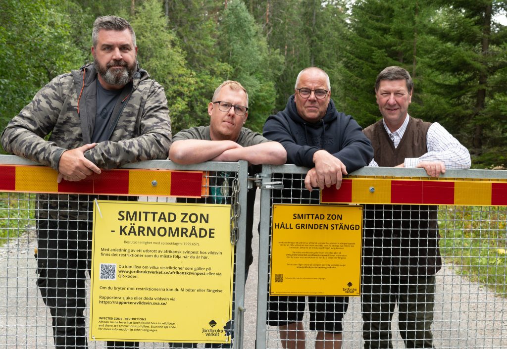 Ett år efteråt – jägarna vann kampen mot vildsvinsfebern