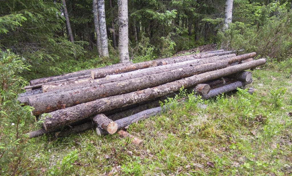 Harungar behöver markskydd – så här bygger du ett hargolv