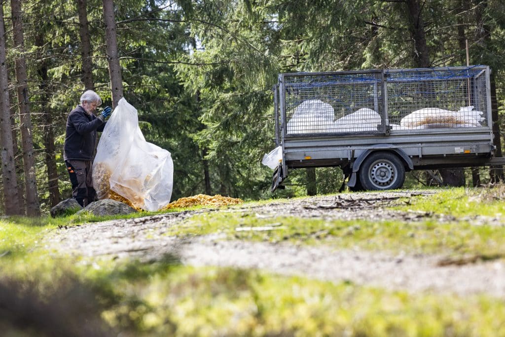 Fabrikören vann mot kommunen – får fortsätta sin chipsutfodring