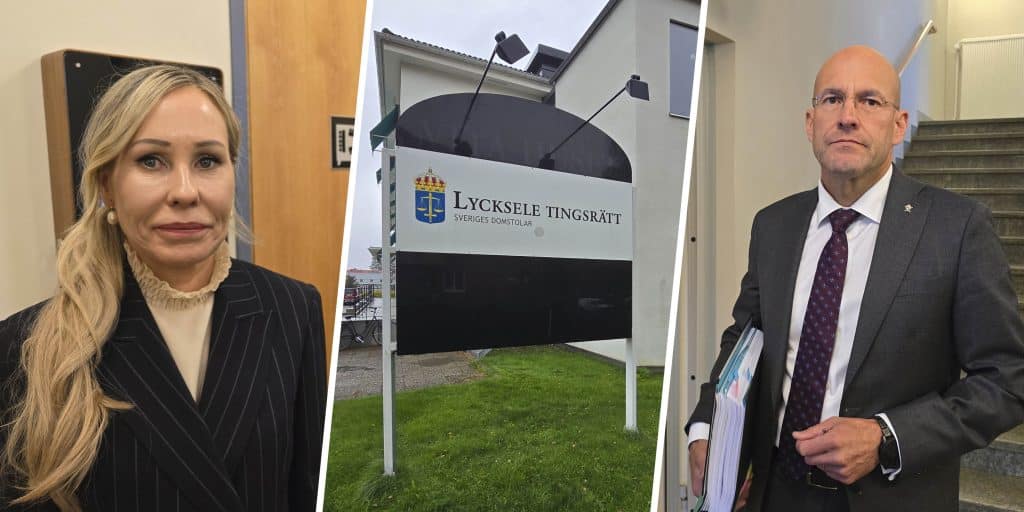 Advokatens hårda kritik i björnjaktmålet: ”Utredningen har inte bedrivits förutsättningslöst”