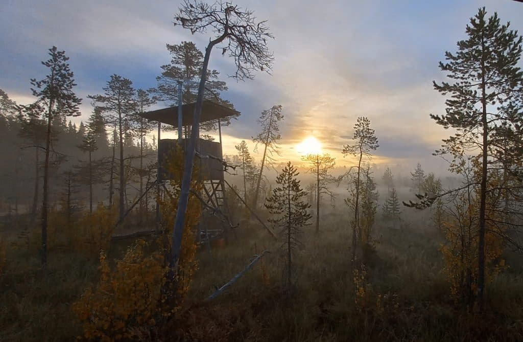 Läsartext: En vacker morgon