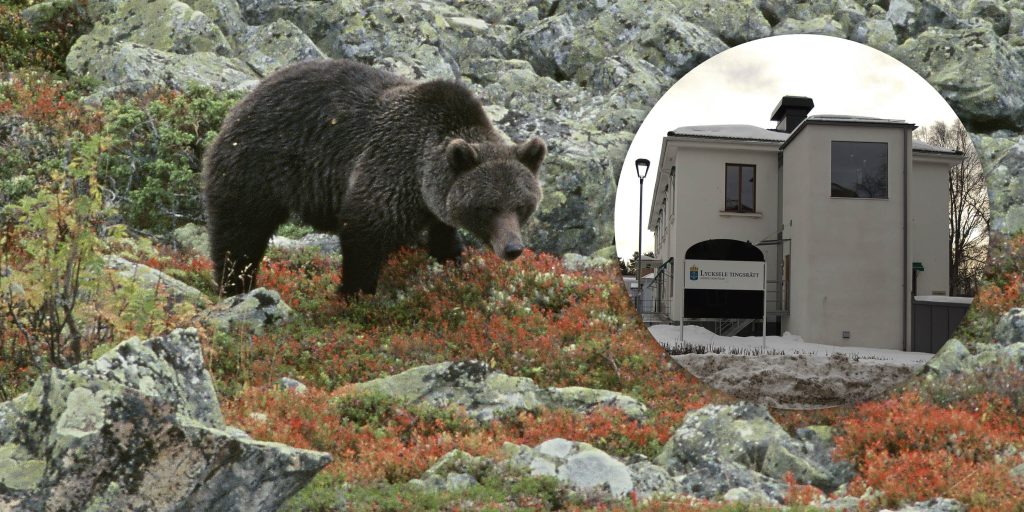 Fem år efter det misstänkta brottet – snart inleds den stora jakträttegången