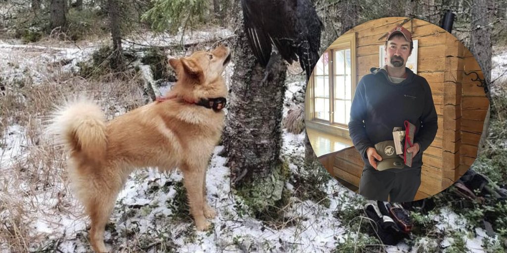Tätt i toppen i Skallkungen