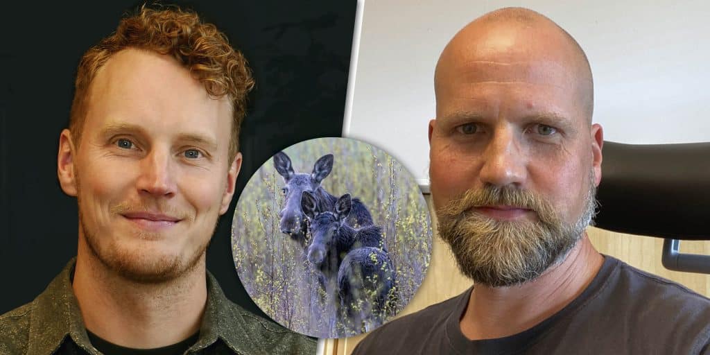 Jägare manar till uppror mot älgförvaltningen