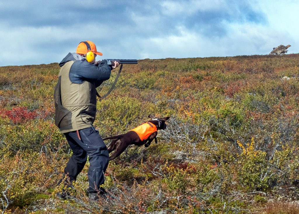 Staten bestrider stämningar från fyra samebyar