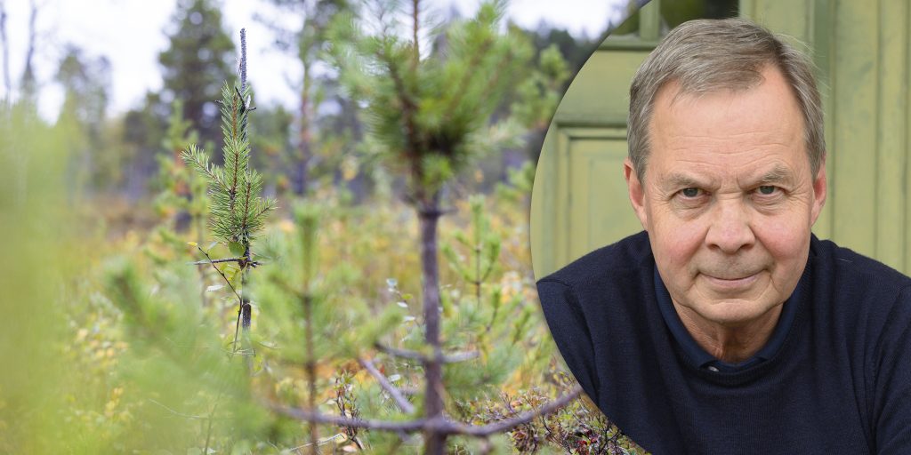 ”Äbin kan inte användas för att bedöma framtidens virke”