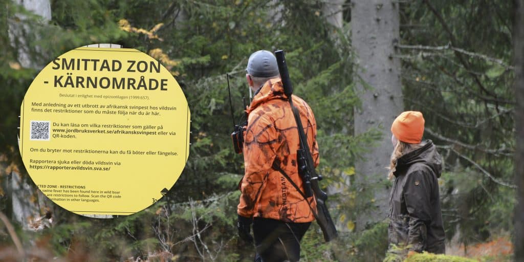 Staten nobbar markägare som ställde upp för jägarna i svinpestområde