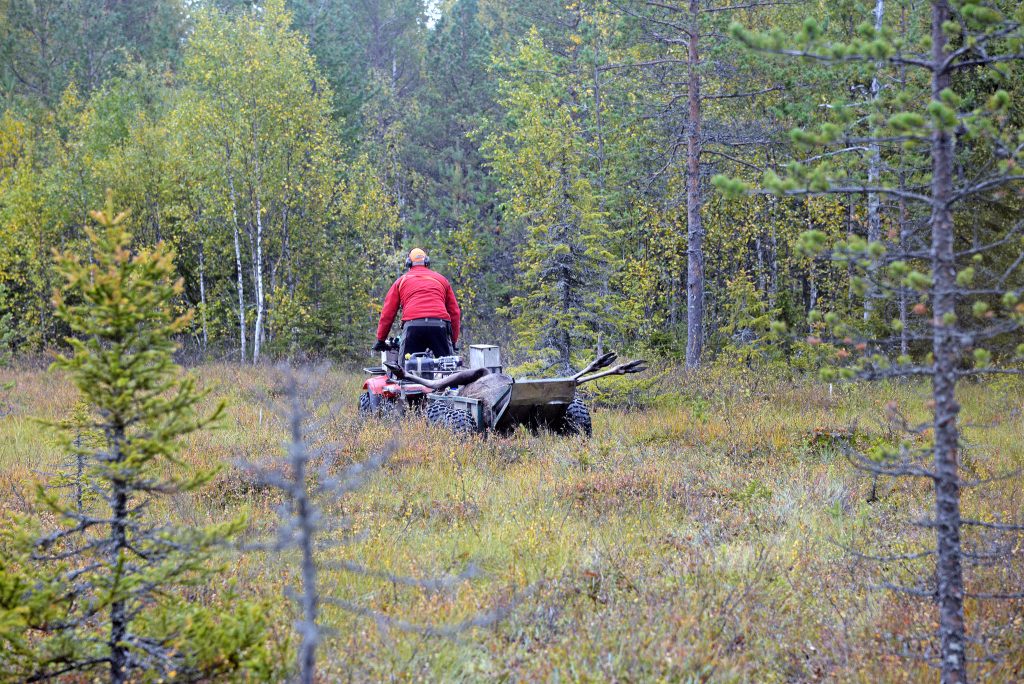 Länsstyrelse och domstol nekar renskötare köra fyrhjuling under älgjakten