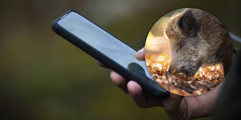 Ny mobilapp ska underlätta trikintester