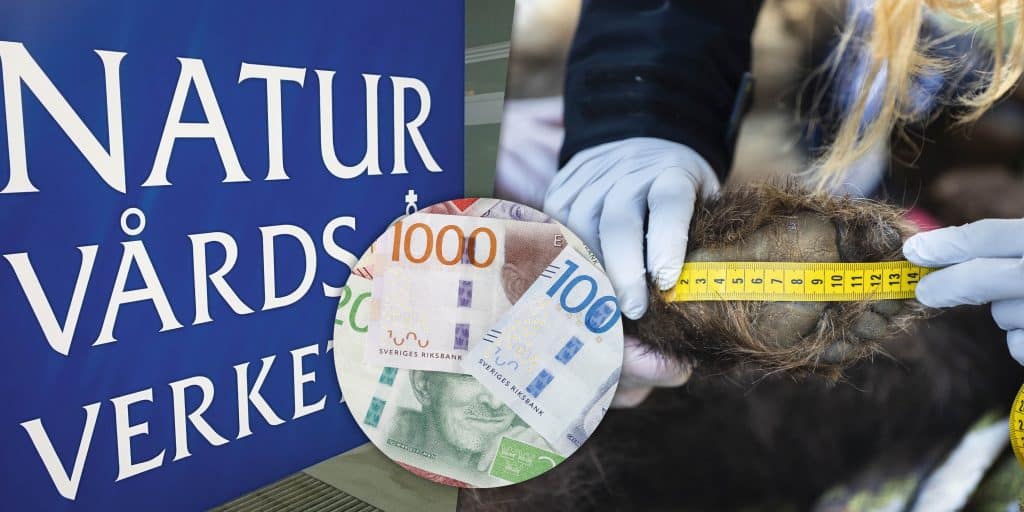 Naturvårdsverket vill ställa villkor för hur forskningspengar används