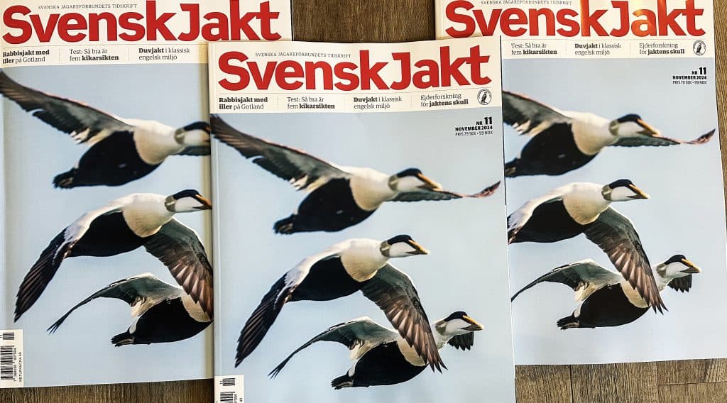 Nytt nummer av Svensk Jakt: Bli en bättre jaktskytt