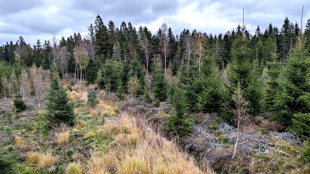 Jakt på Ekhammars gård