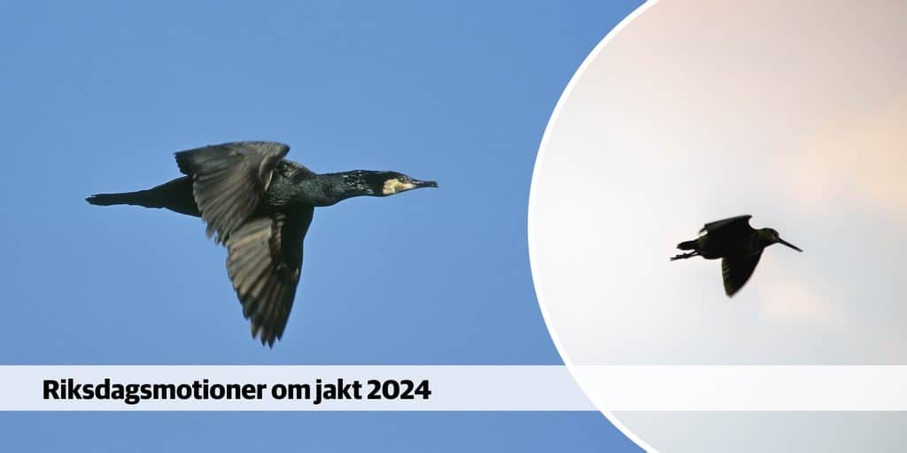 En mängd förslag om jakt från sverigedemokrater