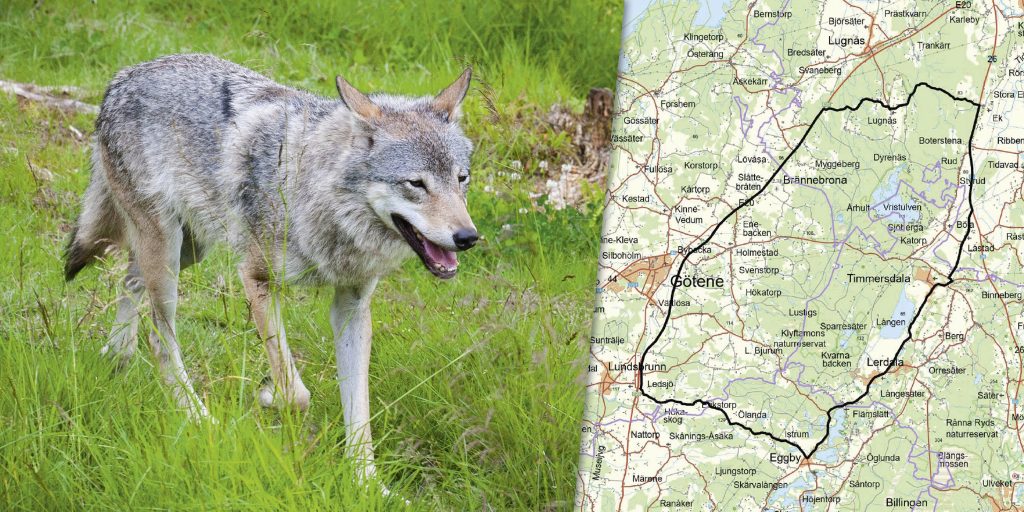 Vill kunna korrigera tilldelningen om det behövs – men juridiken hindrar