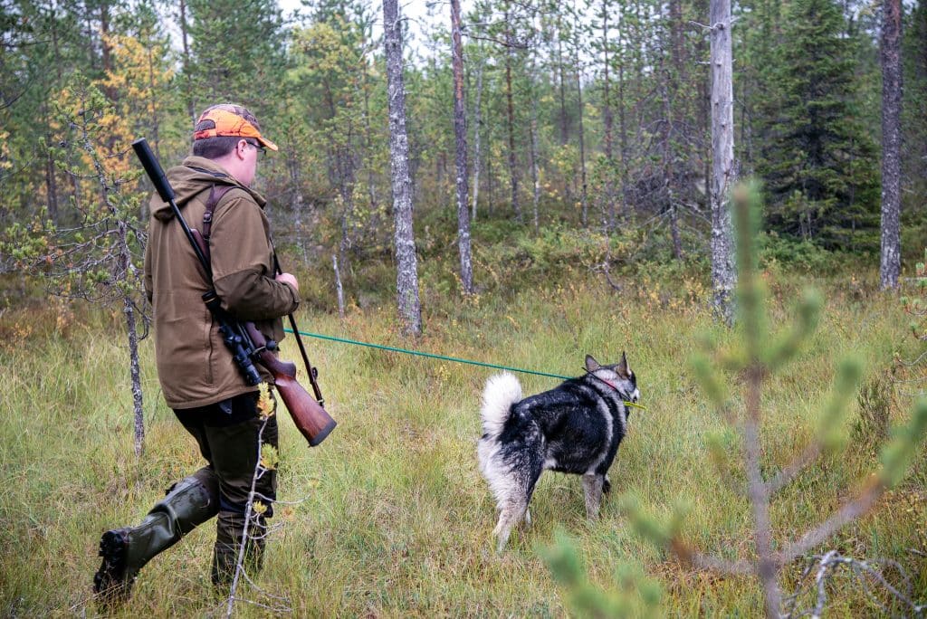 ”Hundförarna ska ha en eloge och inte kritik”
