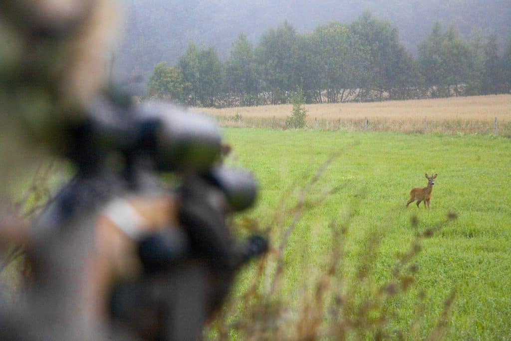 Ulf Lindroth guidar: Bli en bättre jaktskytt
