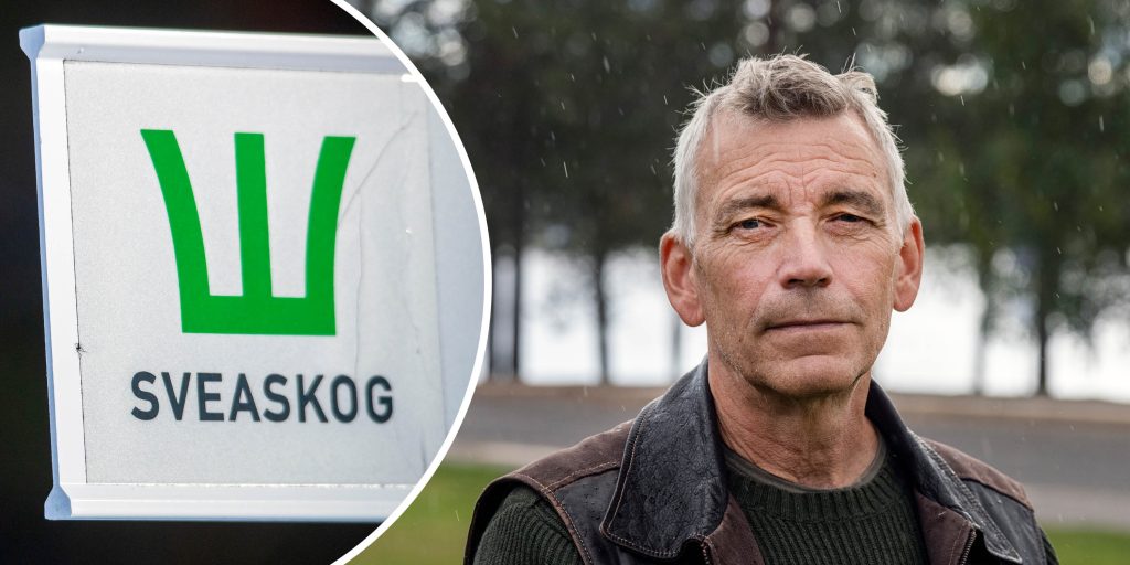 Utredaren som fick sparken av regeringen: ”Samebyar har Girjasrätt på Sveaskogs marker”