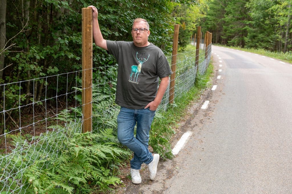 Stängsel runt pestsmittat område tas bort