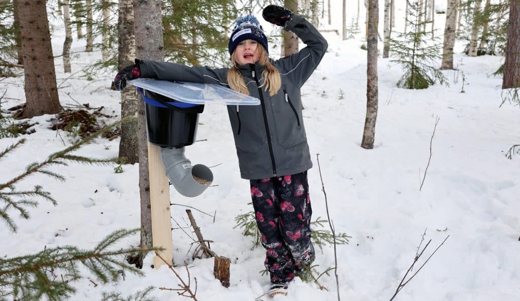 Bygg den lille viltvårdarens foderautomat