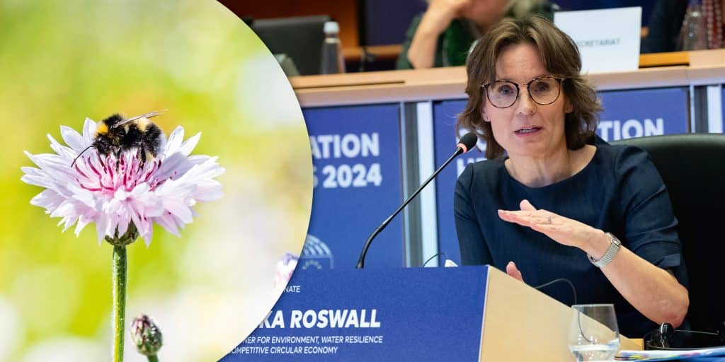 Jakten i EU: Svensk politiker får nyckelroll i EU-kommissionen