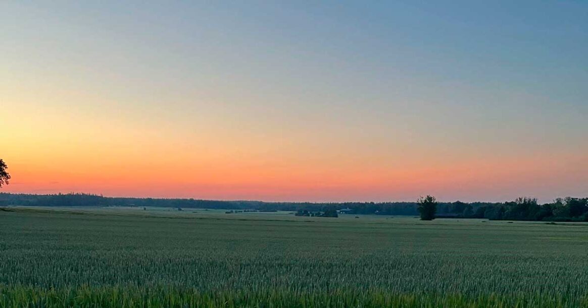 En sommar­kväll i spann­målet