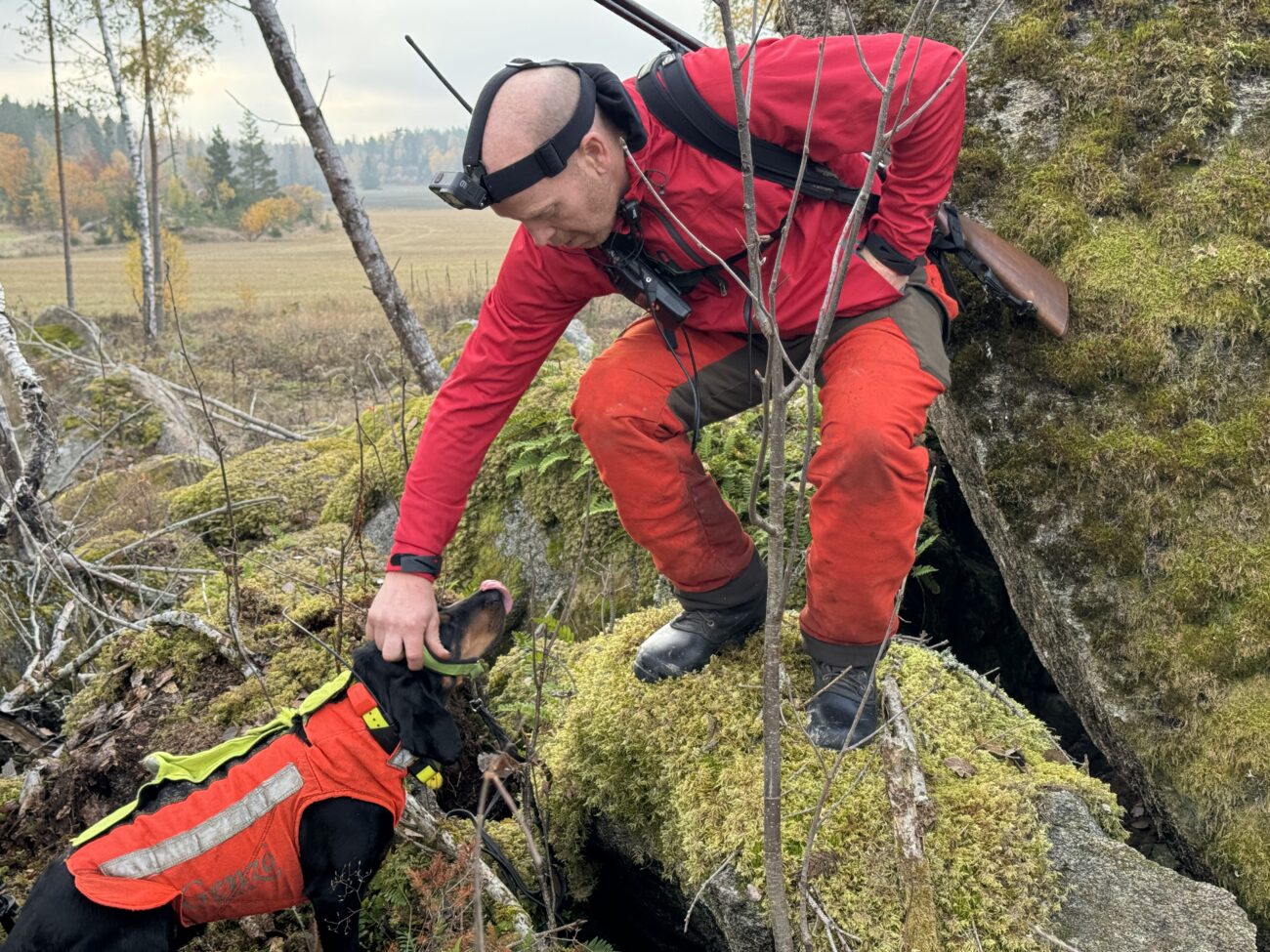 Drevjakt i Västmanland – någons toabesök, andras jaktlycka