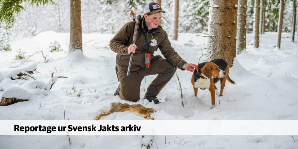 Malte säkrar stövarjaktens framtid