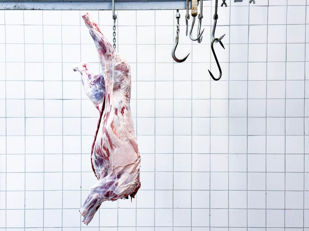 Stort intresse bland jägare att anmäla sig till vildsvinsjägarregistret