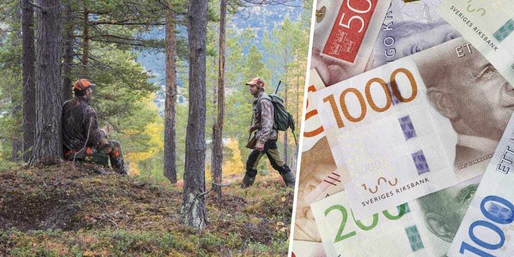 Miljonbelopp till forskning om hållbar viltförvaltning