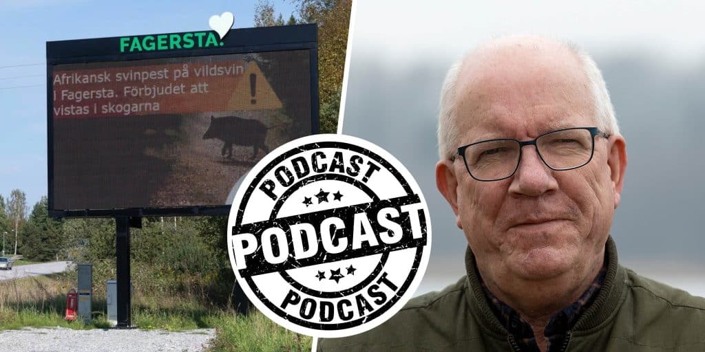 Vi sammanfattar nyhetsåret: Jägarnas heroiska arbete fick bort svinpesten på världsrekordtid