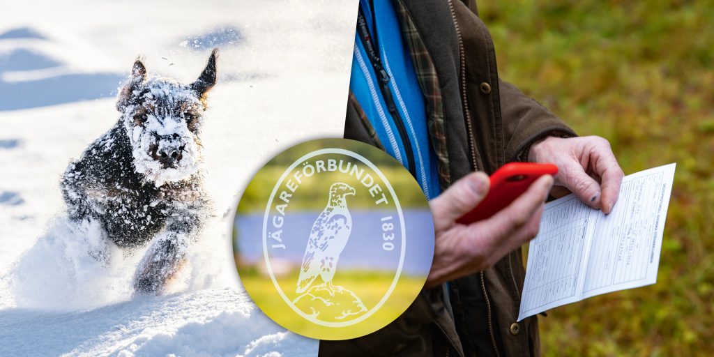 Domarutbildning och viltspår – föreningar får dela på 16,7 miljoner till projekt