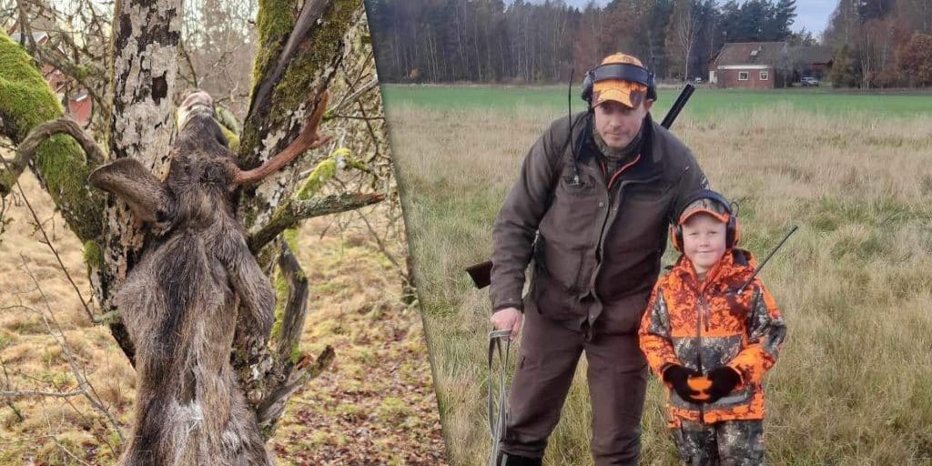 Hittade hängd älg: ”Höjden av otur”