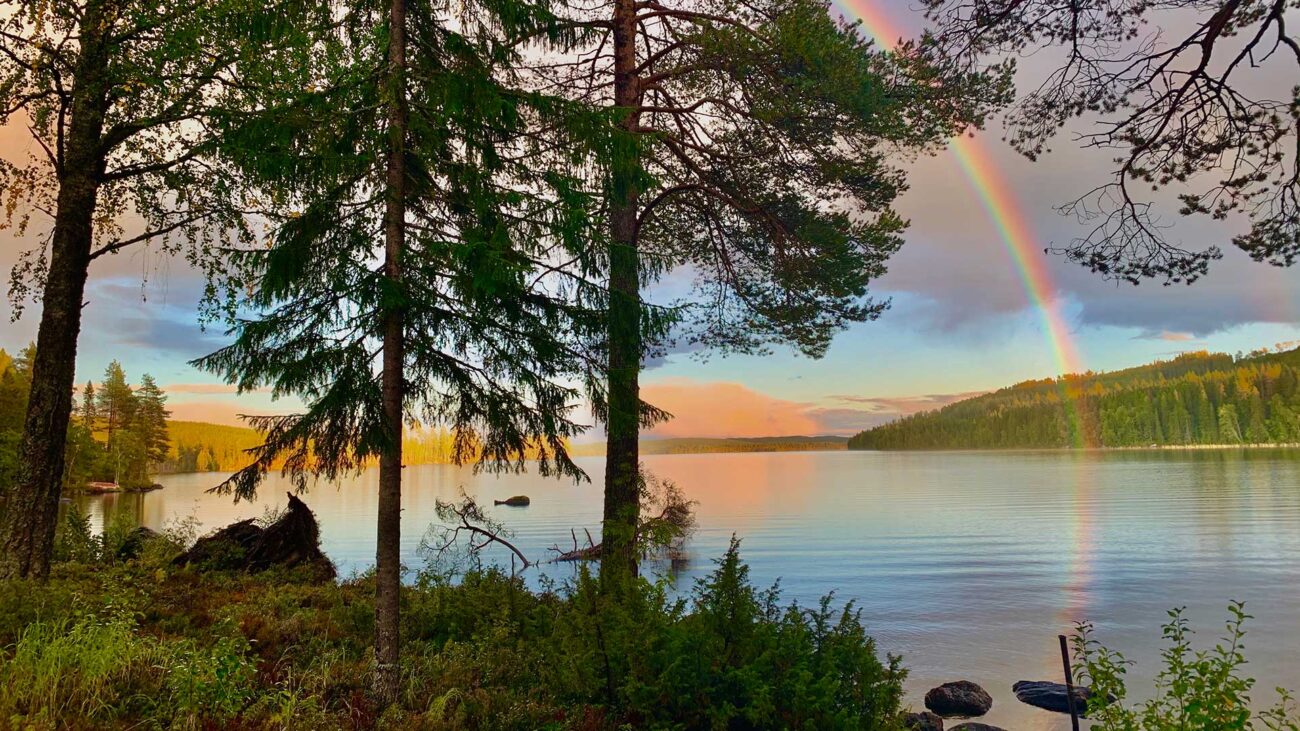Älgjakt i Jämtland