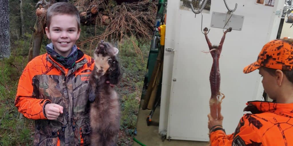 12-årige Algot tar fällfångsten på allvar  