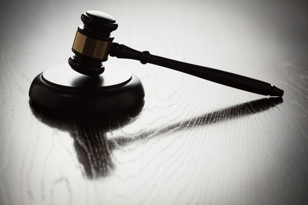 Klart: Beslut om licensjakt på varg ligger fast