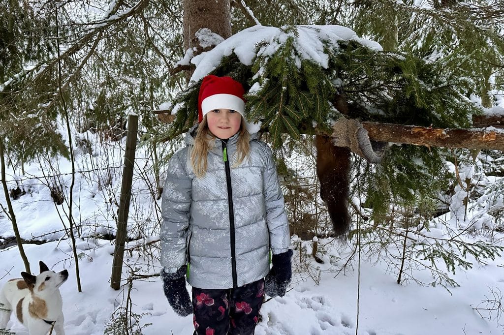 Mårdfångst – den lille viltvårdarens pälsvilt