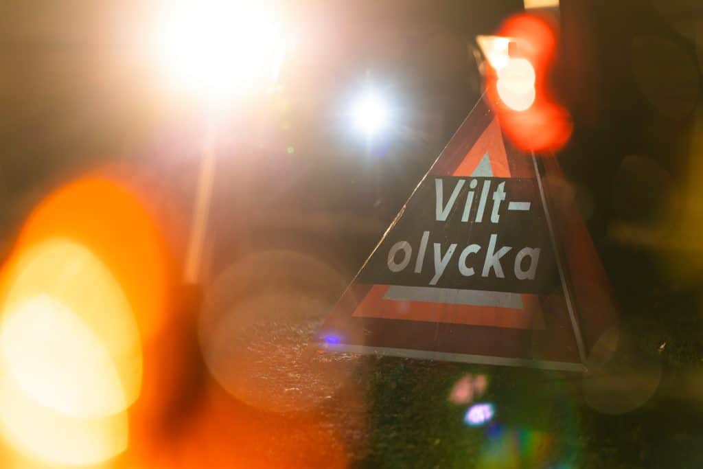 Googlade djur efter viltolycka – slipper straff