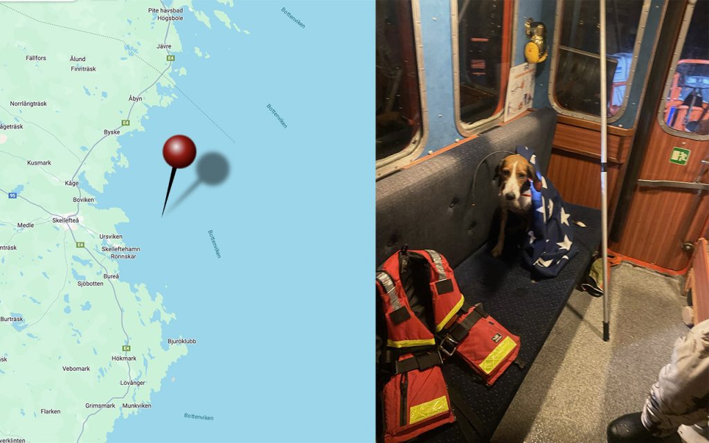 Stövare hamnade på isflak som drev mot Finland – dramatisk räddning