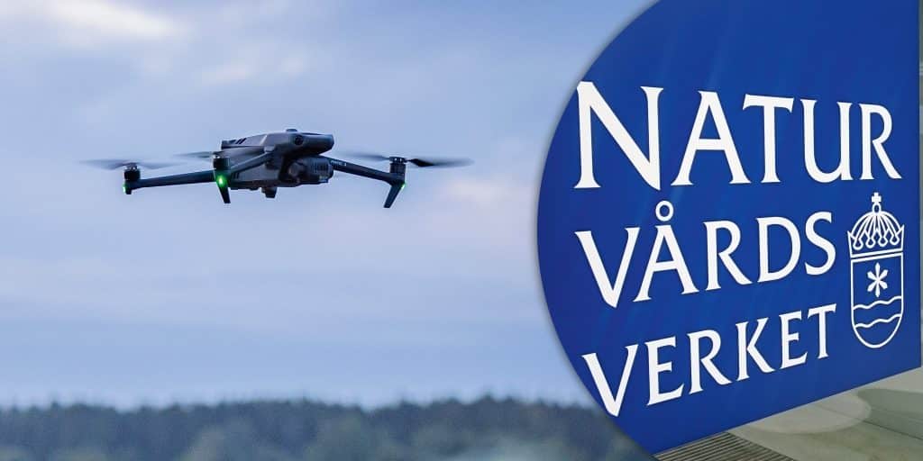Naturvårdsverket positiva: Drönare kan godkännas vid inventering av klövvilt