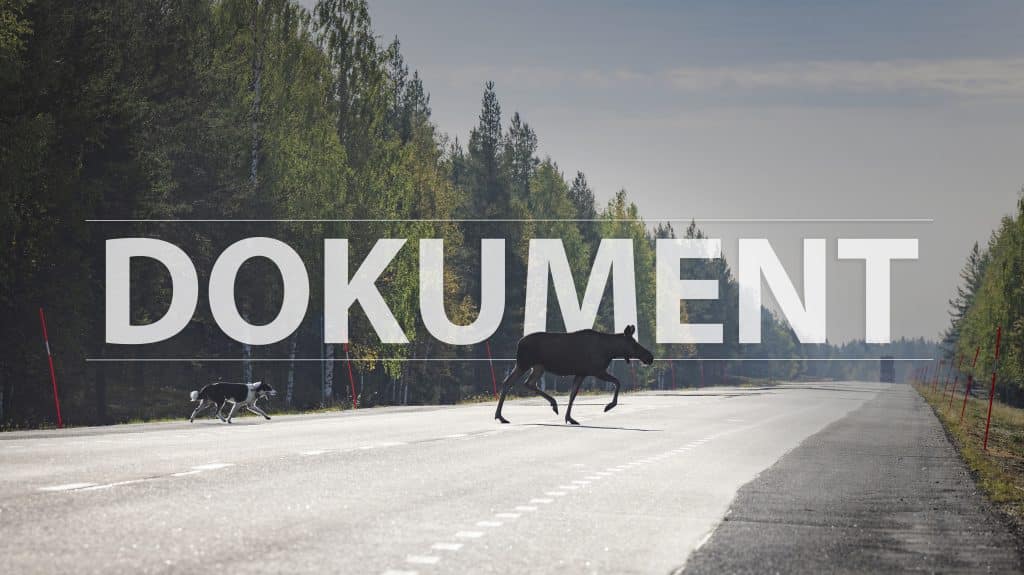 Dokument: Vad händer med älgjakten i ett varmare klimat?