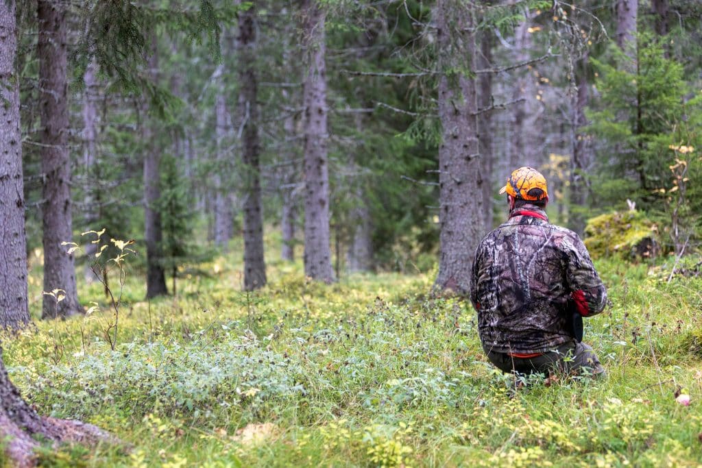 ”Någonstans finns en känsla av att det är jägarnas fel”