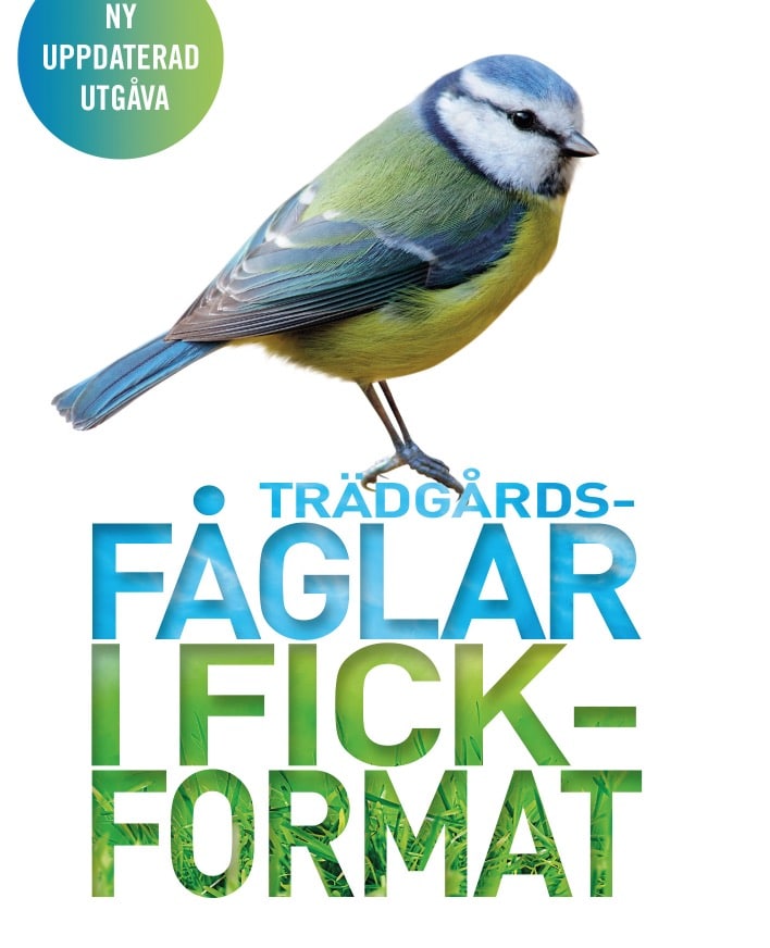Recension: En inte särskilt lyckad fågelbok