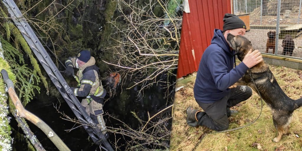 Gruvhål – rena dödsfällan: Dramatisk räddning av eftersökshund