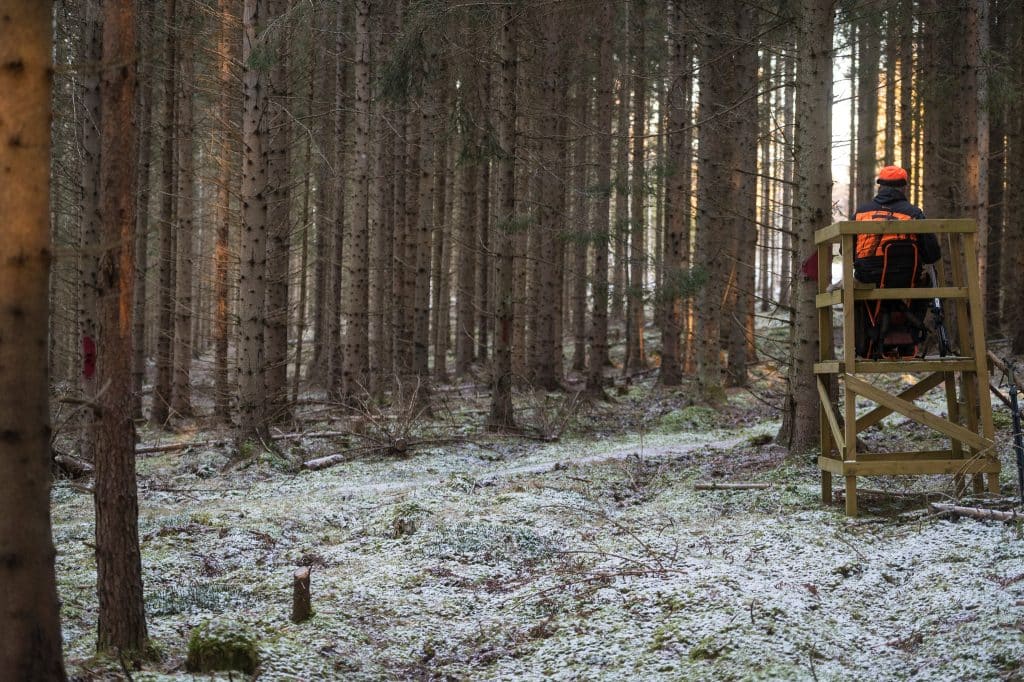 ”Sportskyttarna åker snålskjuts på jägarkåren”