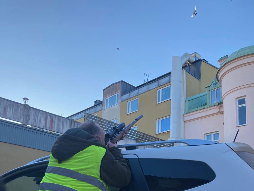 Ny utbildning ska ge bättre säkerhet och högre status för kommunjägarna